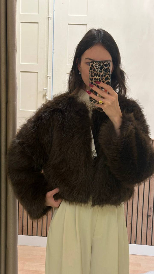 Chocolate Colored Coat